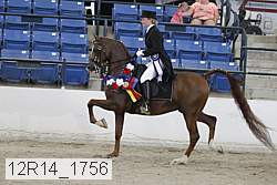 12r14_1756 thumbnail