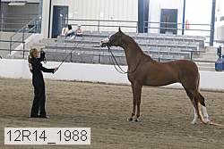 12r14_1988 thumbnail