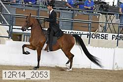 12r14_2053 thumbnail