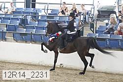 12r14_2231 thumbnail
