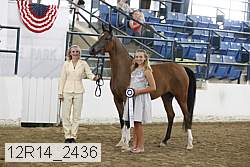 12r14_2436 thumbnail