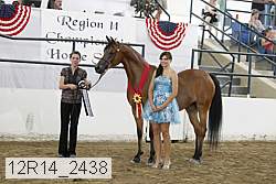 12r14_2438 thumbnail