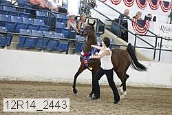 12r14_2443 thumbnail
