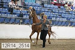 12r14_2514 thumbnail