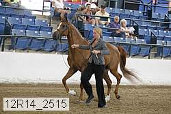 12r14_2515 thumbnail