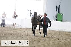 12r14_2516 thumbnail