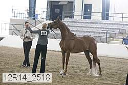 12r14_2518 thumbnail