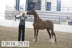 12r14_2519 thumbnail