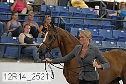 12r14_2521 thumbnail