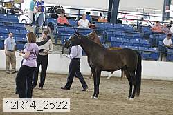 12r14_2522 thumbnail