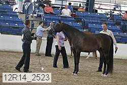 12r14_2523 thumbnail