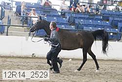12r14_2529 thumbnail