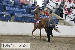12r14_2530 thumbnail