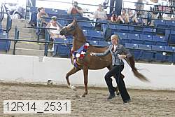 12r14_2531 thumbnail