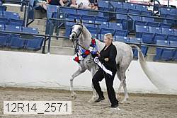 12r14_2571 thumbnail