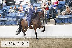 12r14_2690 thumbnail