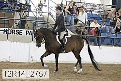 12r14_2757 thumbnail