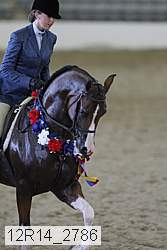 12r14_2786 thumbnail