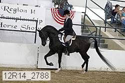 12r14_2788 thumbnail