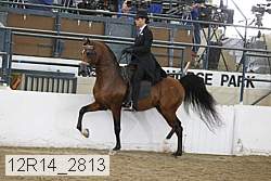 12r14_2813 thumbnail