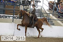 12r14_2913 thumbnail