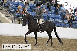 12r14_3091 thumbnail