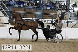 12r14_3224 thumbnail
