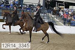 12r14_3345 thumbnail