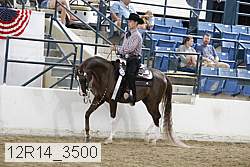 12r14_3500 thumbnail