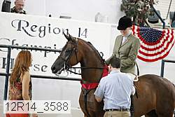 12r14_3588 thumbnail