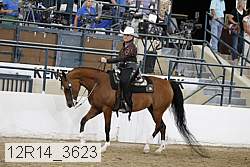 12r14_3623 thumbnail