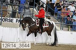 12r14_3644 thumbnail