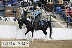 12r14_3645 thumbnail