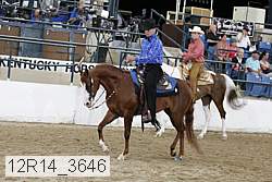 12r14_3646 thumbnail