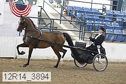 12r14_3894 thumbnail