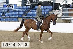 12r14_3966 thumbnail