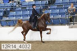 12r14_4032 thumbnail
