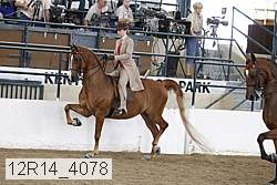 12r14_4078 thumbnail