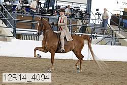 12r14_4094 thumbnail