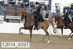 12r14_4097 thumbnail