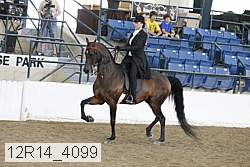 12r14_4099 thumbnail