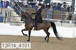 12r14_4101 thumbnail
