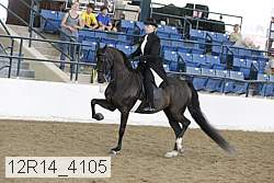 12r14_4105 thumbnail