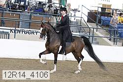 12r14_4106 thumbnail