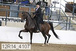 12r14_4107 thumbnail