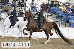 12r14_4110 thumbnail