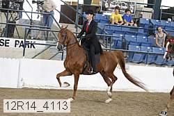 12r14_4113 thumbnail