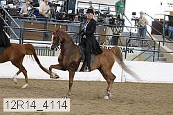12r14_4114 thumbnail