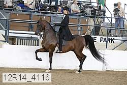 12r14_4116 thumbnail