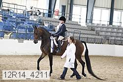 12r14_4211 thumbnail